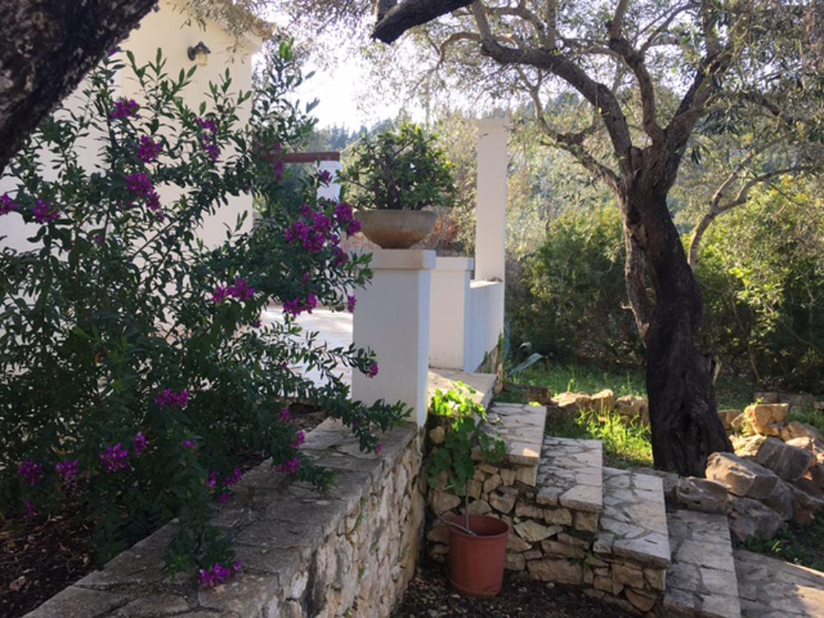 Nereidi Pool Villas Porto Ozias Zewnętrze zdjęcie